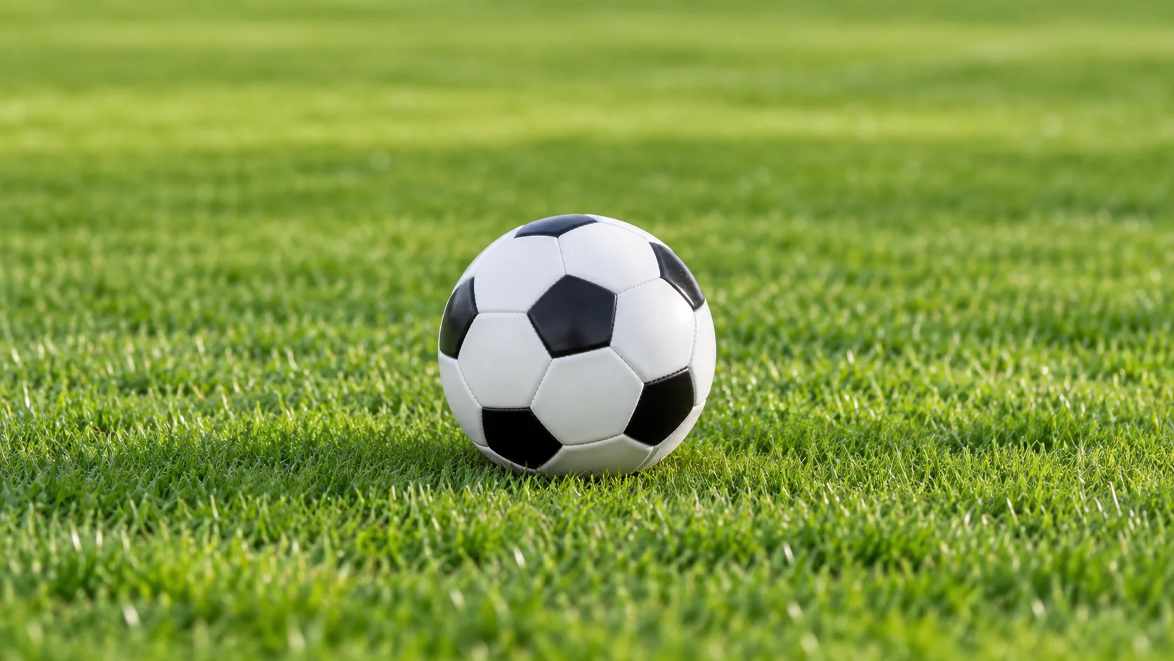 武汉极限运动队在极限运动会中的精彩表现与技术分析